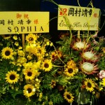 DSC_0046 DSC_0046.jpg